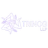 TRINOG LLP is a game development and publishing company dedicated to creating immersive mobile and PC gaming experiences for a global audience. Our mission is to craft high-quality games powered by cutting-edge technologies, modern visuals, and innovative mechanics. We focus on both development and monetization through major digital platforms like the App Store, Google Play, and other ecosystems.